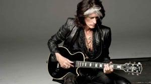 joe perry