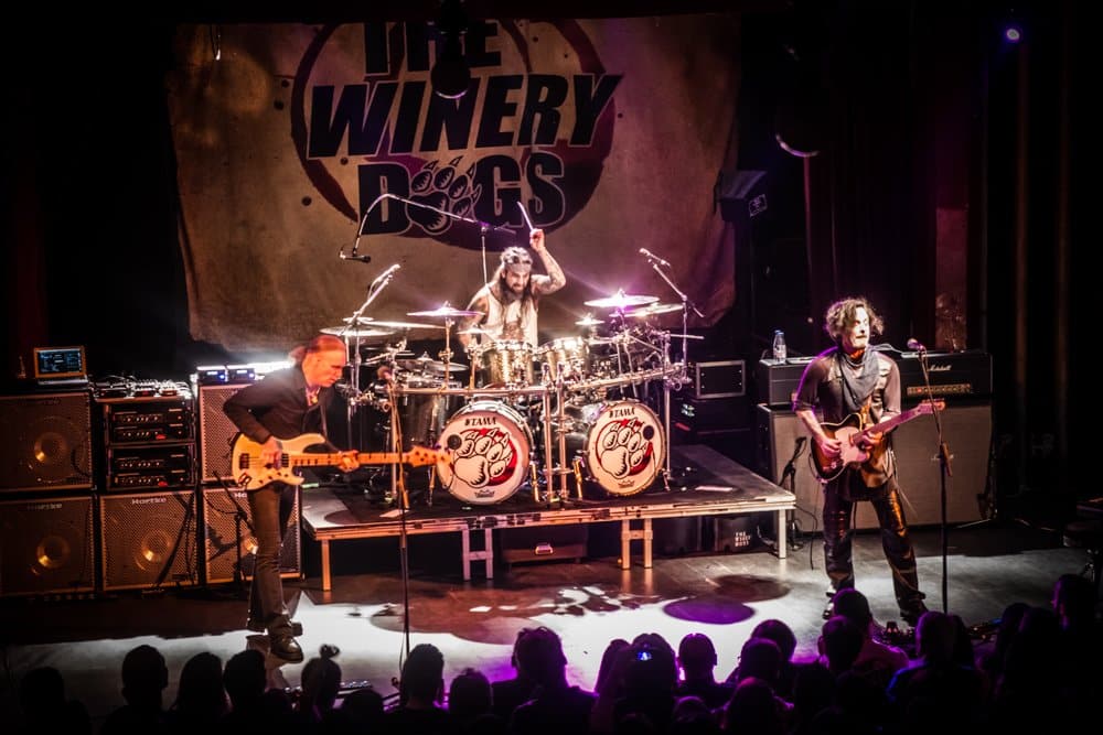 20160210thewinerydogsbcn-9