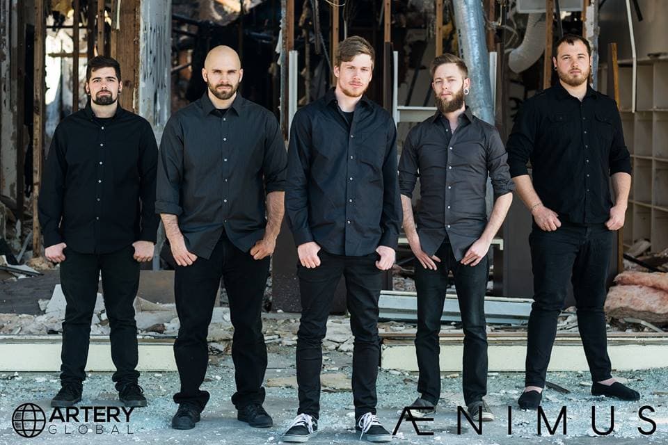ENtrevista Aenimus