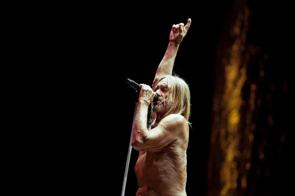 O Son Do Camiño 2019 Iggy Pop