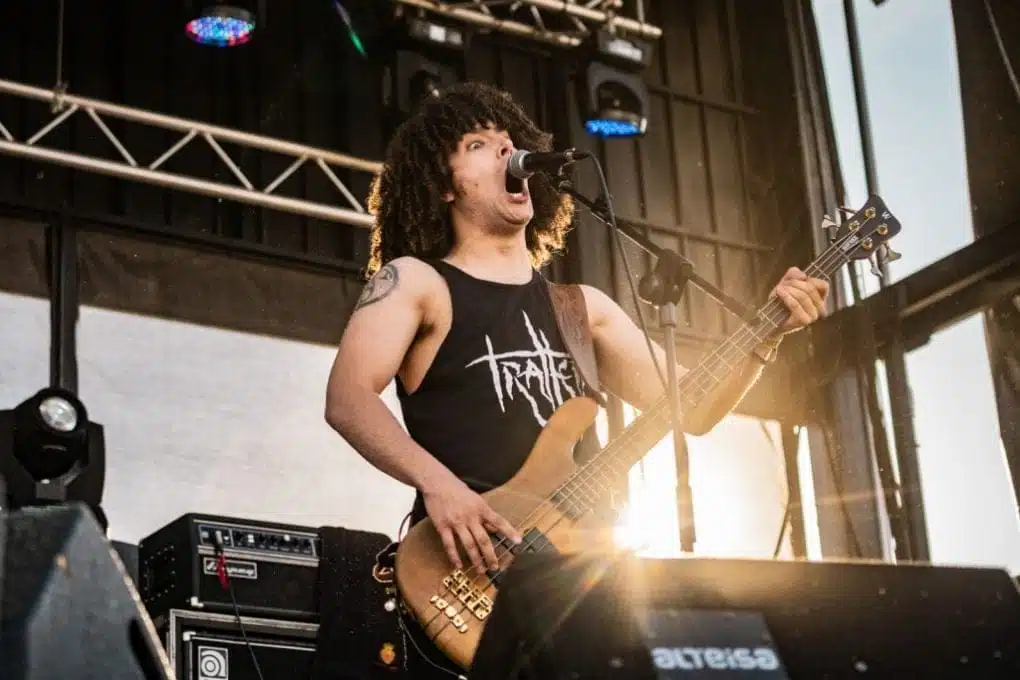Trallery Z! Live 2019